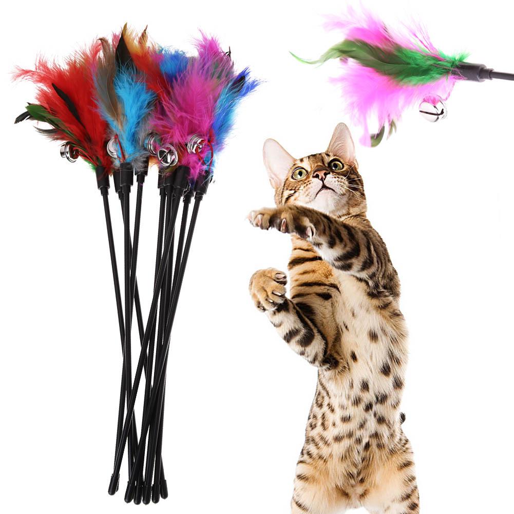 Lot de 5 plumes pour chat