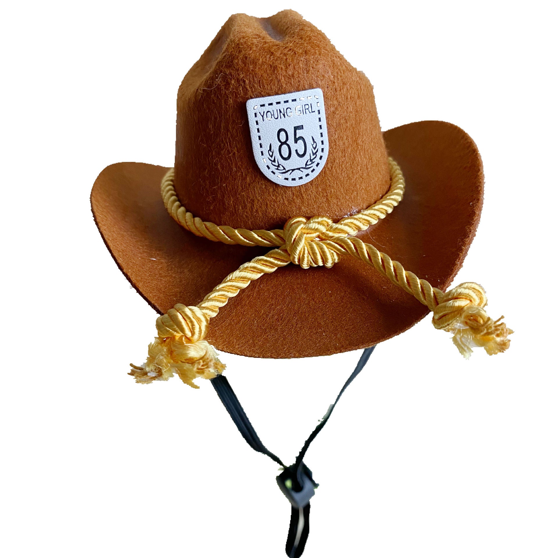 Chapeau de cowboy pour chat