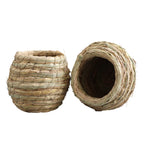 Nid en paille pour cage