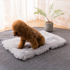 Coussin carré en peluche