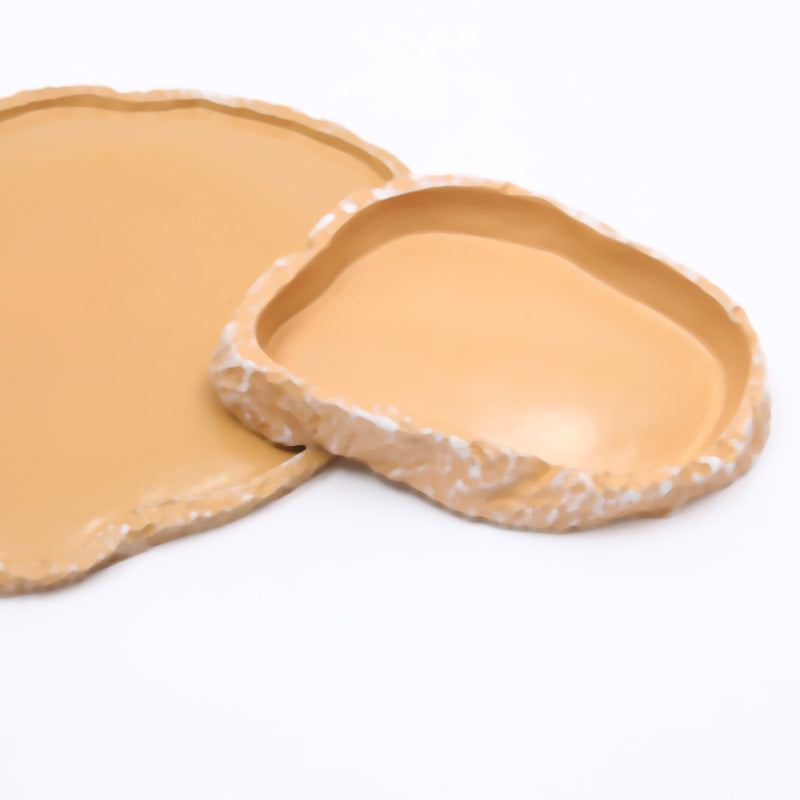 Mangeoire plate tortue