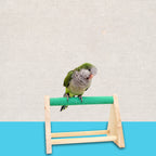 Perchoir sur socle