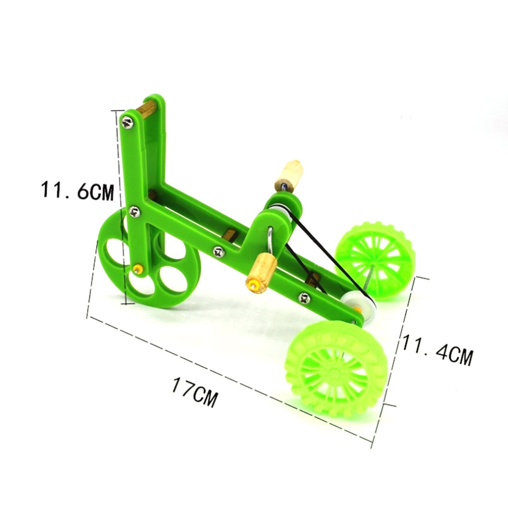 Vélo pour perroquet