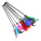 Lot de 5 plumes pour chat