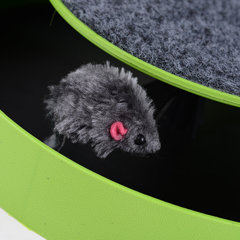 Disque de jeu pour chat
