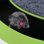 Disque de jeu pour chat