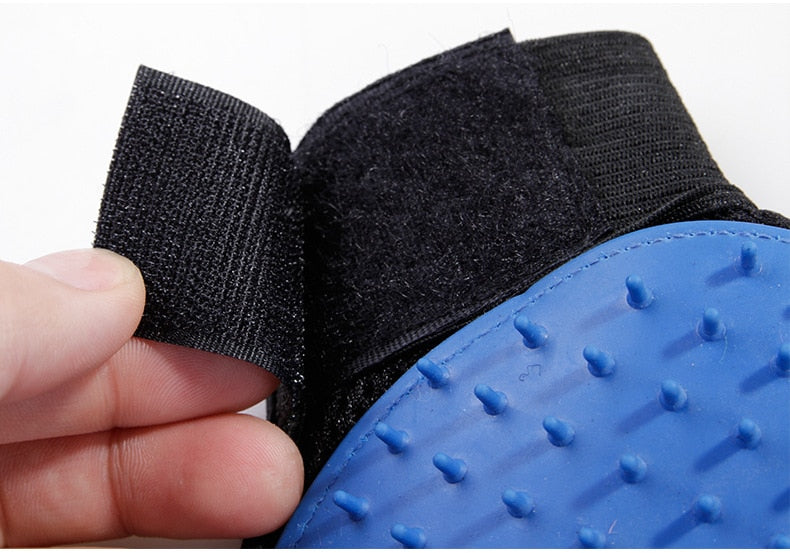 Gant de toilettage pour chien