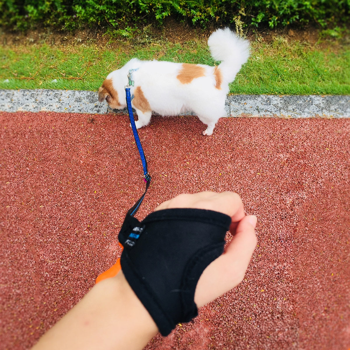 Laisse pour chien poignée enveloppante