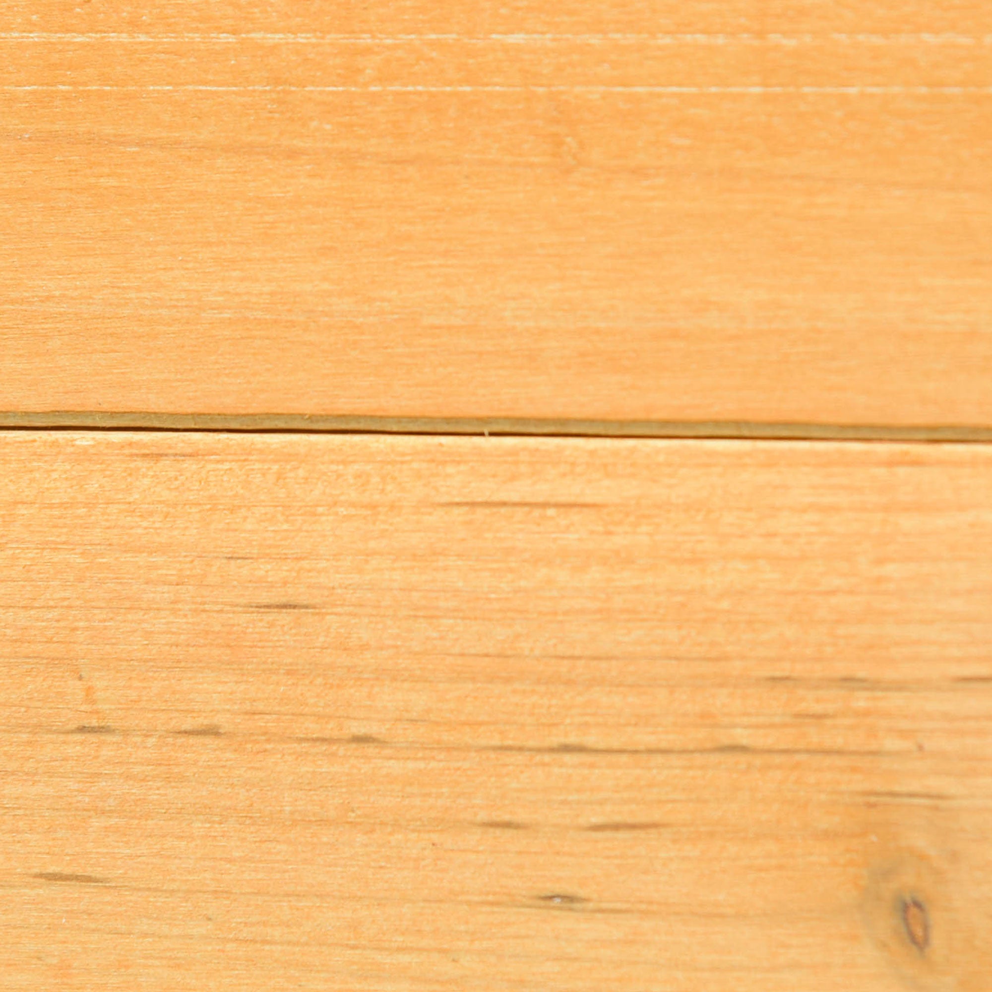 Poulailler avec sortie et nichoir