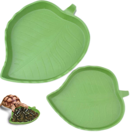 Bassin à petits reptiles