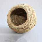 Nid en paille pour cage