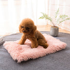 Coussin carré en peluche