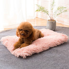 Coussin carré en peluche