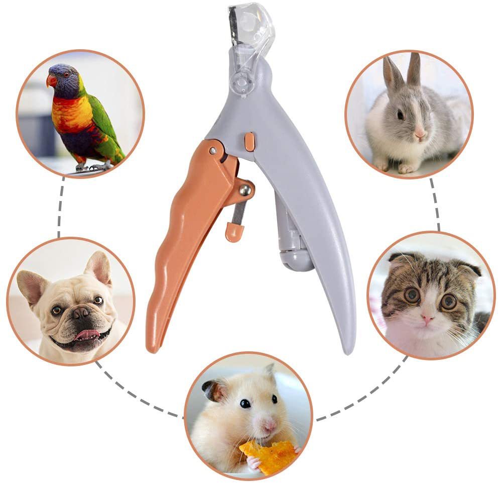 Coupe griffes avec LED pour chien