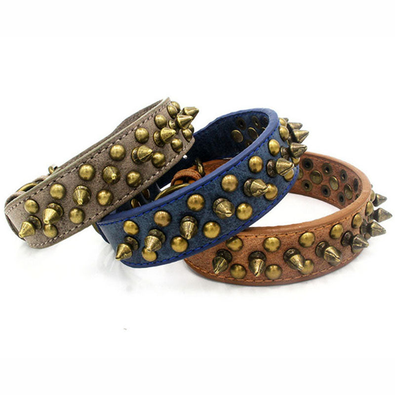 collier en cuir clouté pour chien