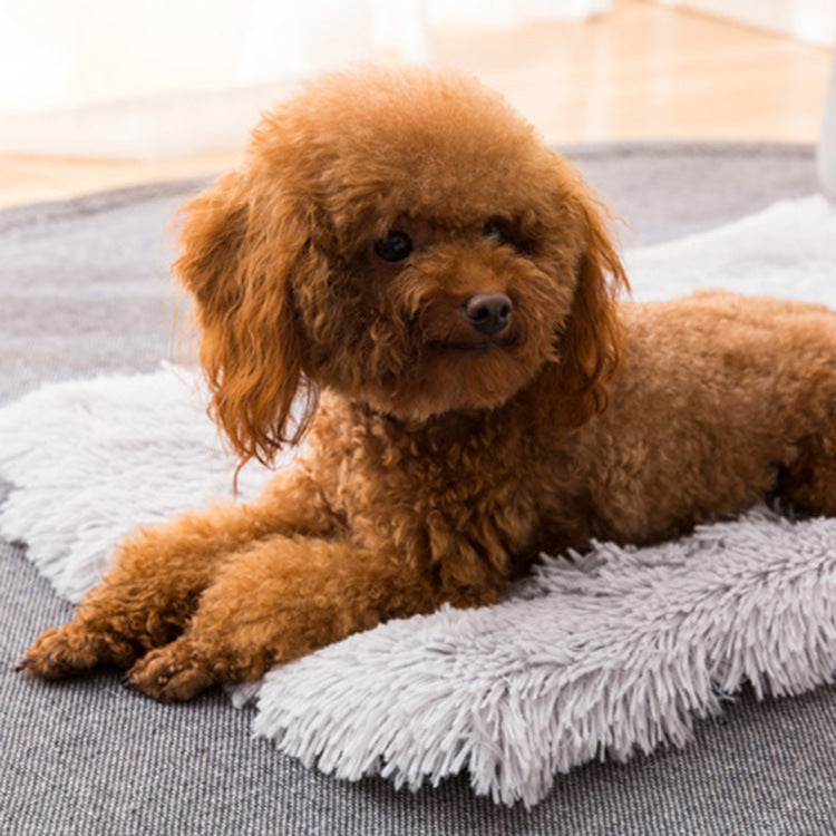 Coussin carré en peluche