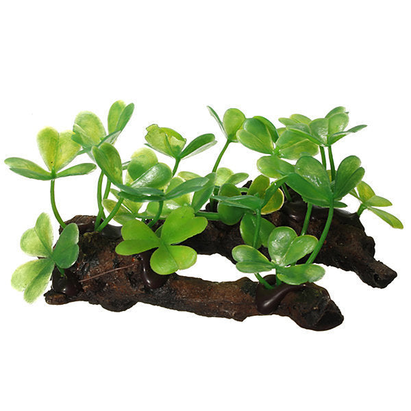 Décoration plante sur souche
