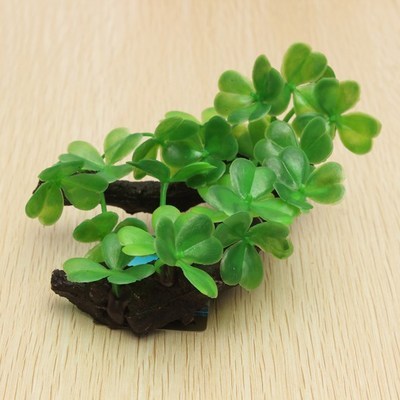 Décoration plante sur souche