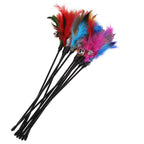 Lot de 5 plumes pour chat