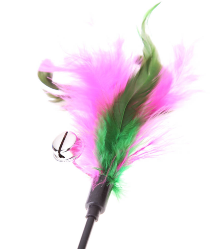 Lot de 5 plumes pour chat