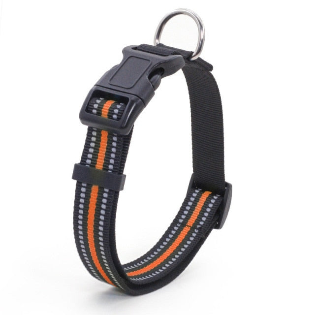 Collier pour chien nylon refléchissant