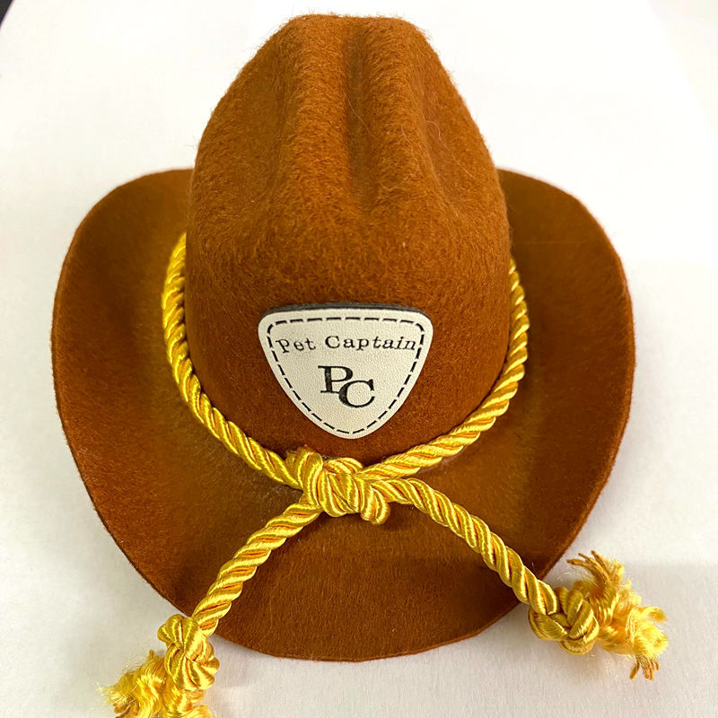 Chapeau de cowboy pour chat