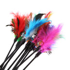 Lot de 5 plumes pour chat