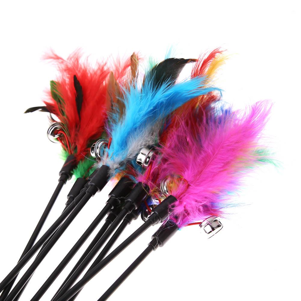 Lot de 5 plumes pour chat