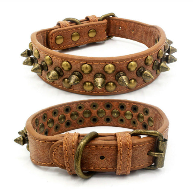 collier en cuir clouté pour chien