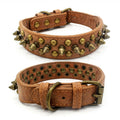 collier en cuir clouté pour chien