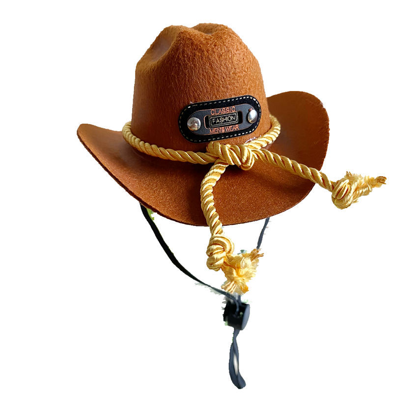 Chapeau de cowboy pour chat