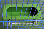 Mangeoire accrochage sur cage