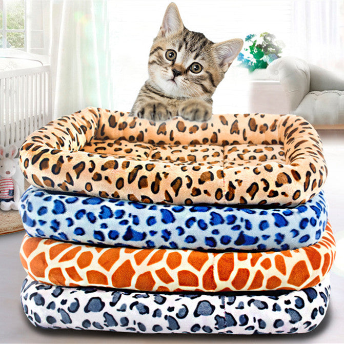 Coussin rectangle style laineux