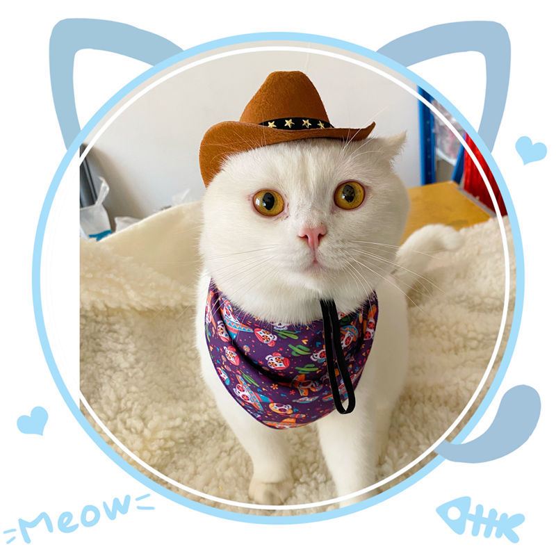 Chapeau de cowboy pour chat