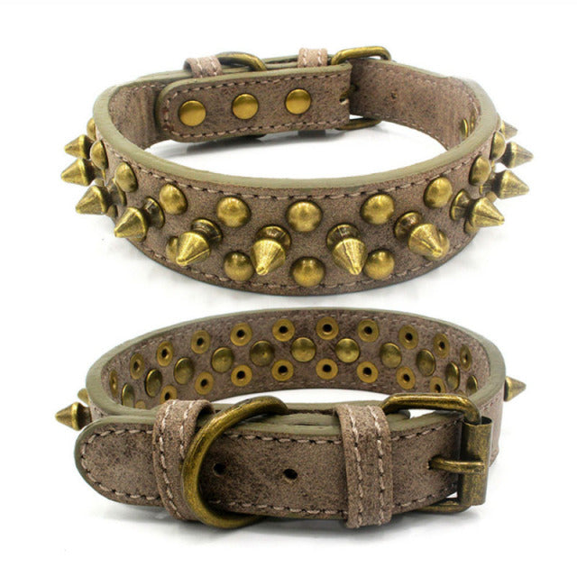collier en cuir clouté pour chien