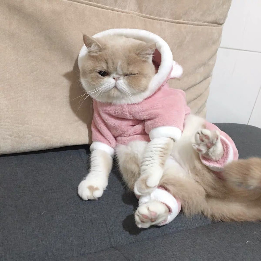 Pyjama pour chat motif cochon