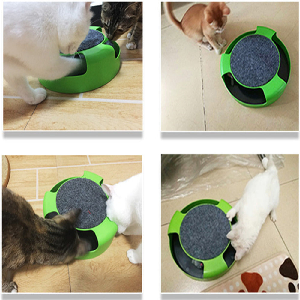 Disque de jeu pour chat