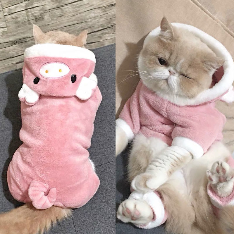 Pyjama pour chat motif cochon