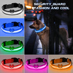 Collier chien lumineux LED