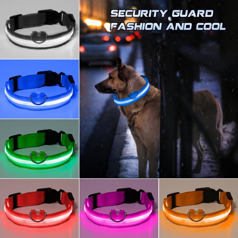 Collier chien lumineux LED