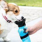 Gourde d'eau de transport pour chien