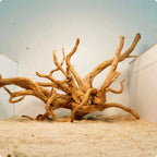 Souche d’arbre en résine pour aquarium