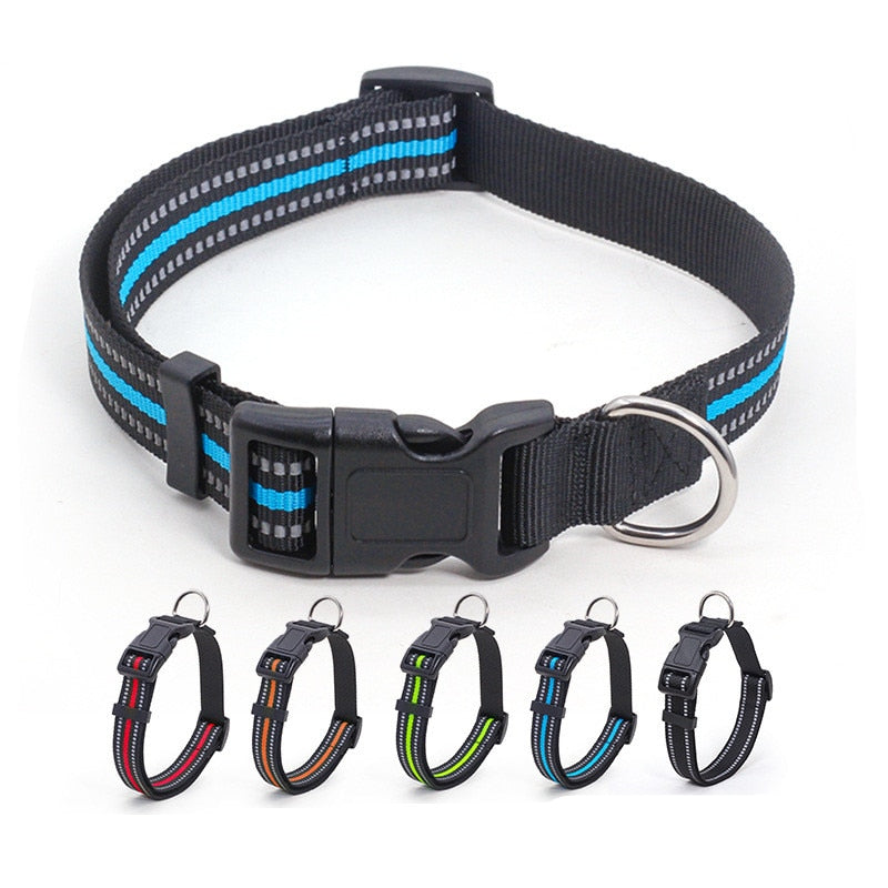 Collier pour chien nylon refléchissant