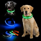 Collier chien lumineux LED
