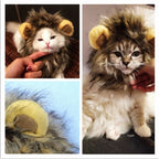 Perruque imitation crinière de lion