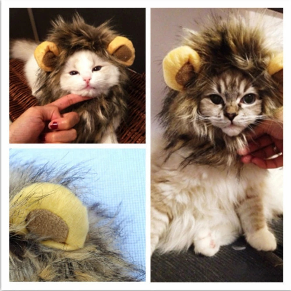 Perruque imitation crinière de lion
