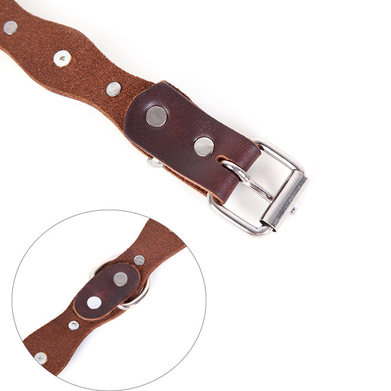 collier pour chien style rétro avec inserts