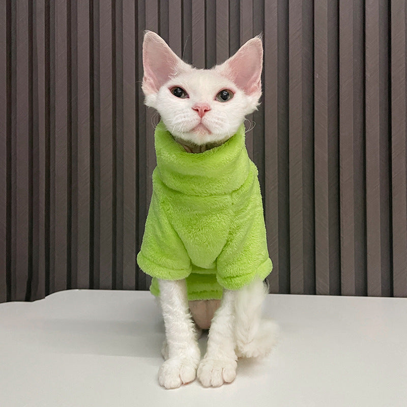 Pull chaud pour chats