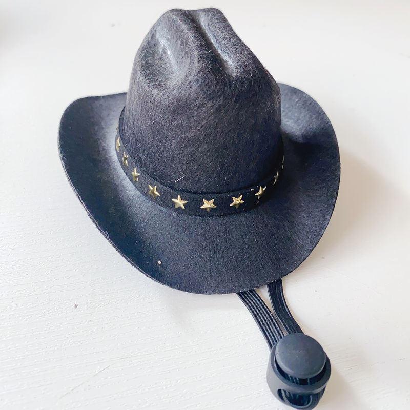 Chapeau de cowboy pour chat