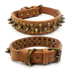 collier en cuir clouté pour chien
